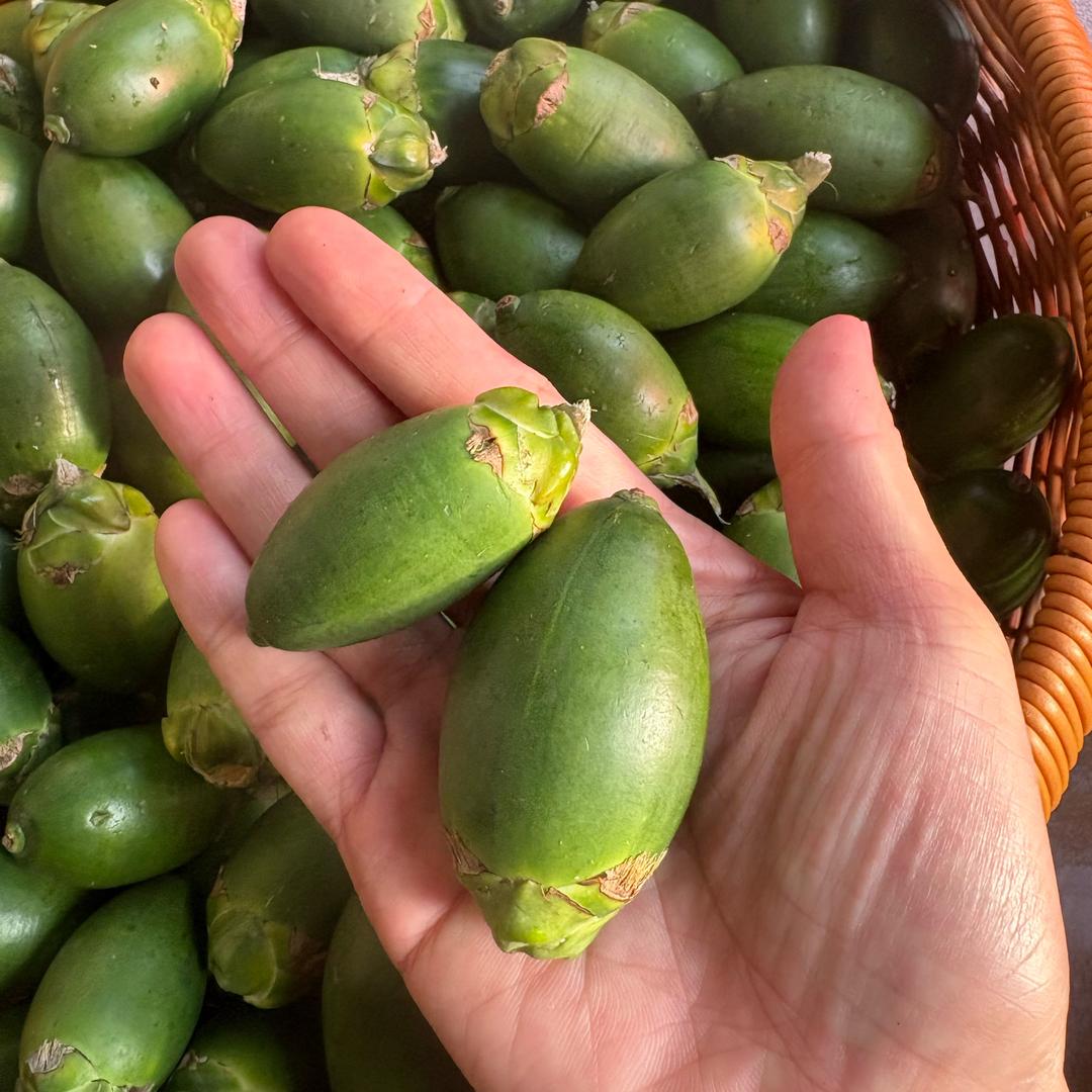 博白-海南青果槟榔