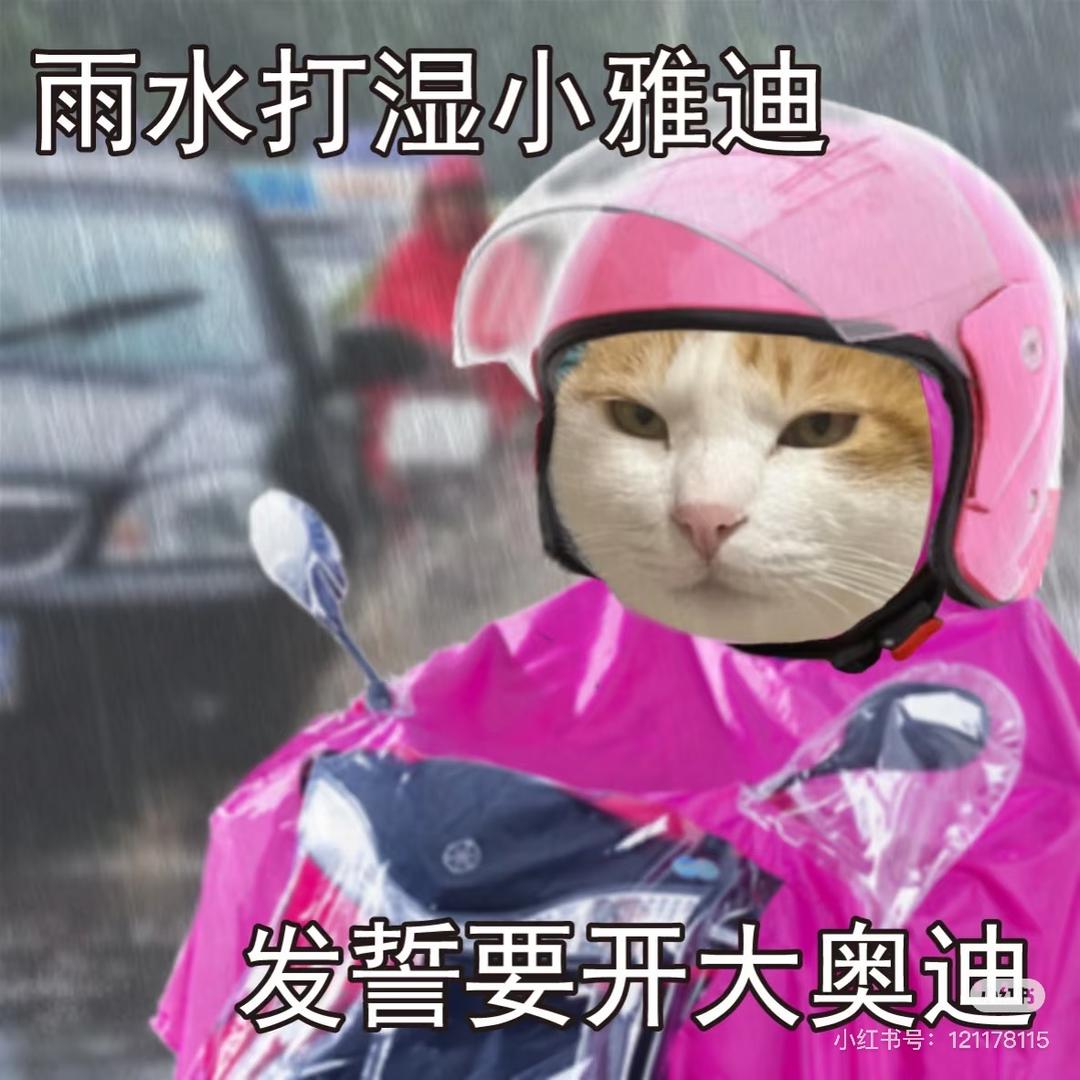 大小