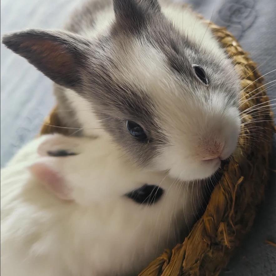 𝐍𝐢𝐤𝐢🎀