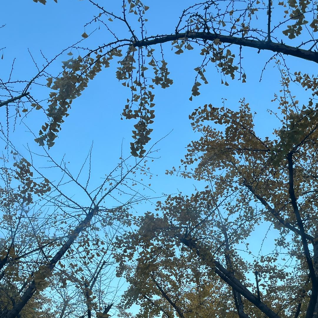 嗯嗯嗯嗯啊啊啊啊啊啊啊