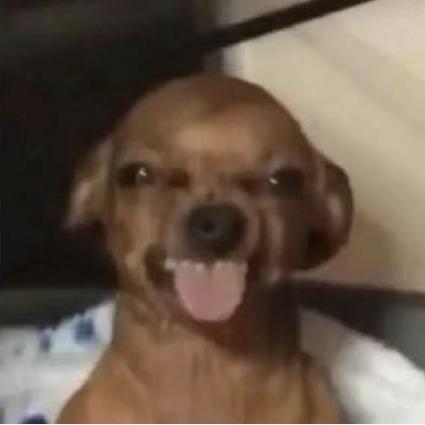 埃及活雷锋🇪🇬