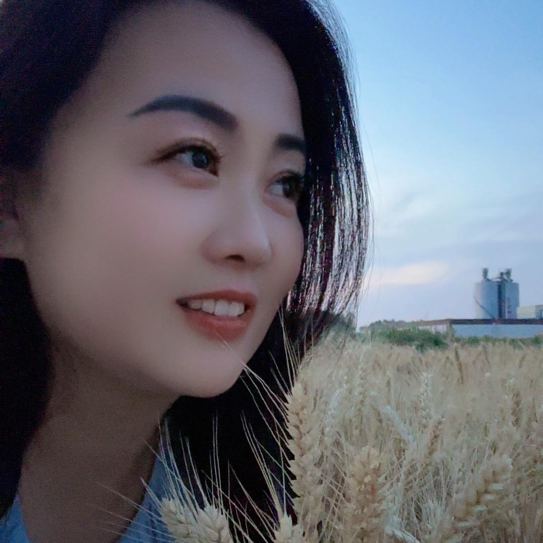 燕南归