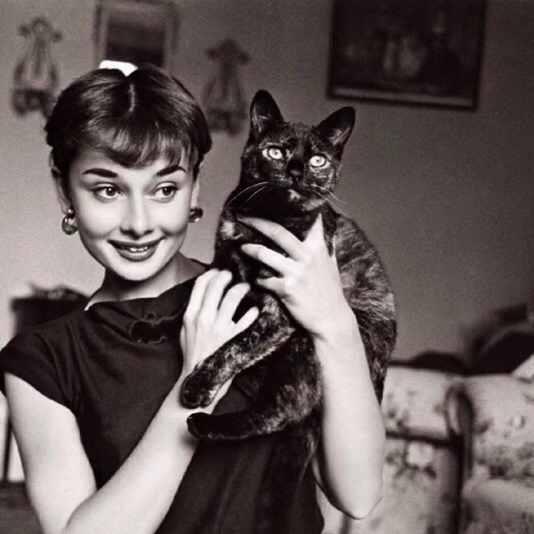 凡禾·轻奢美甲美睫（环球港店）