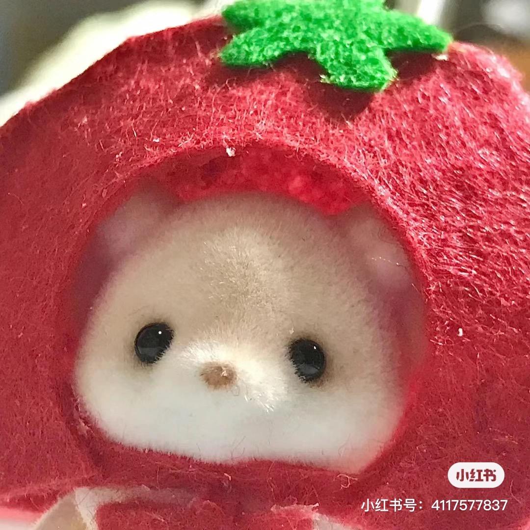 香猪