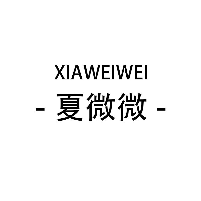 夏微微株洲晨语服饰有限公司女装专卖店