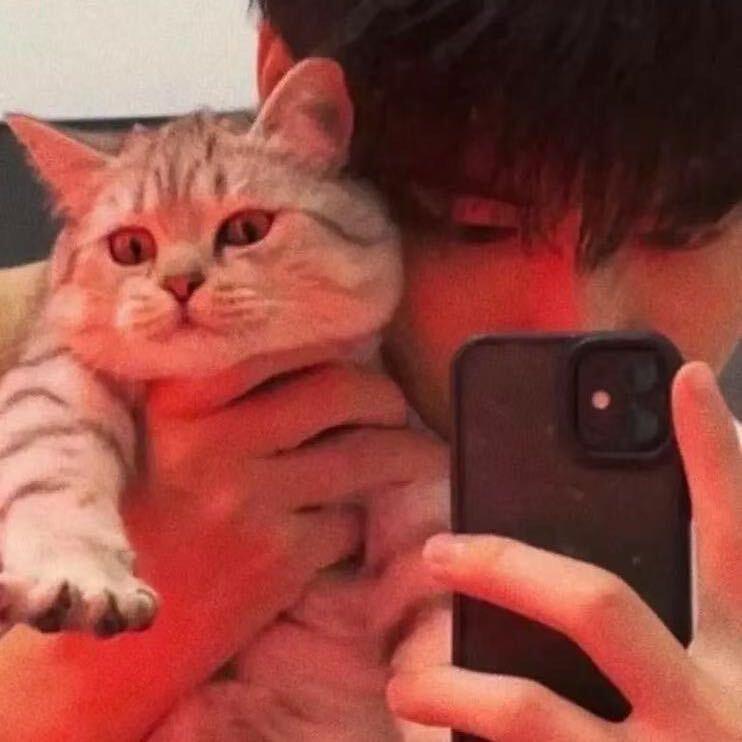 要早睡