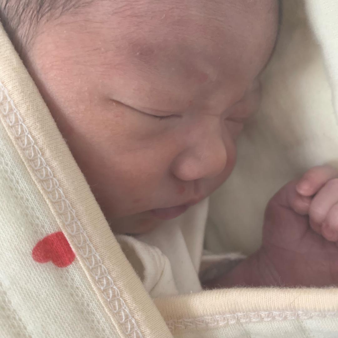 豪豪宝宝🍼