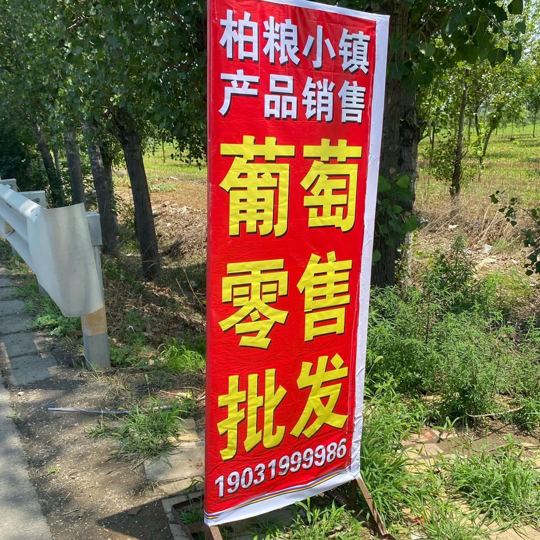 新鲜阳光玫瑰