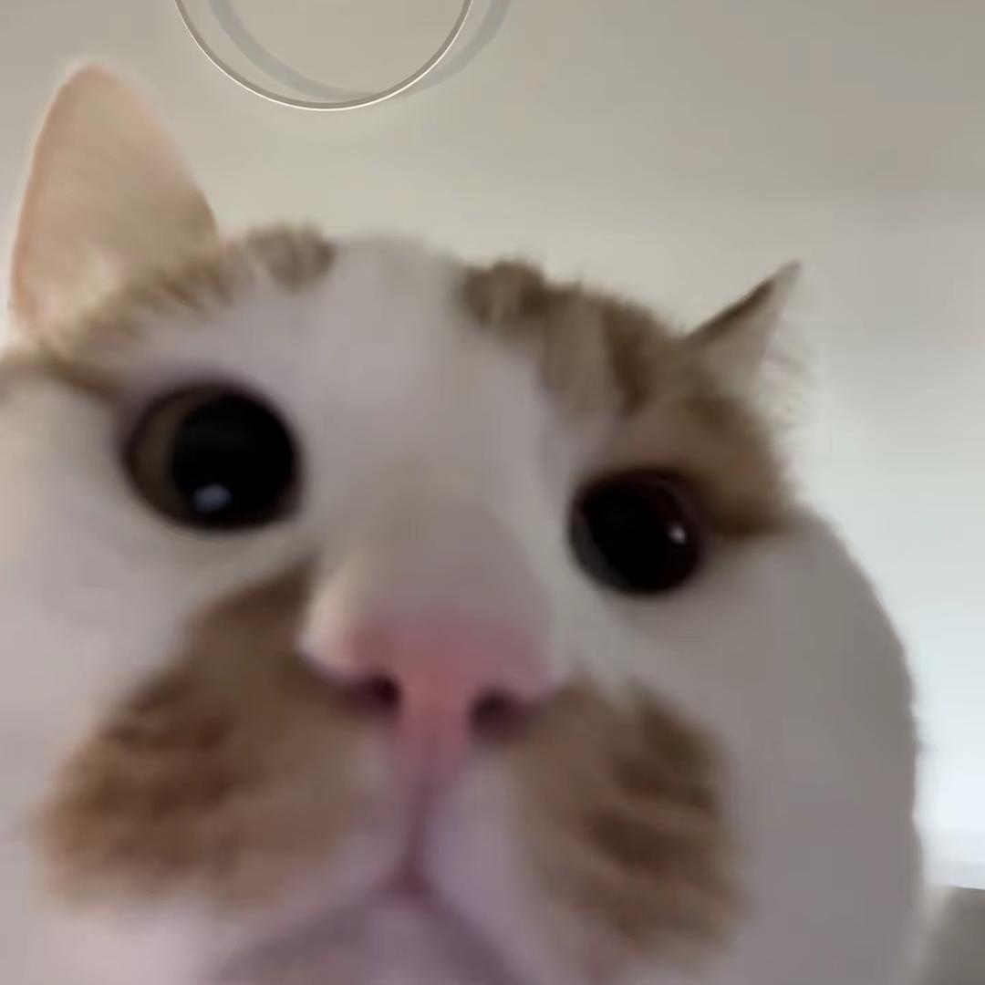 杜比