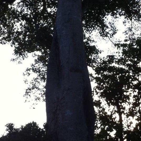 三亚亚晨装饰工程有限公司