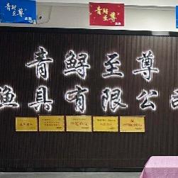 青鲟至尊渔具正品源头