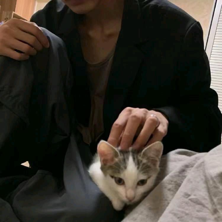 小天天天天天-