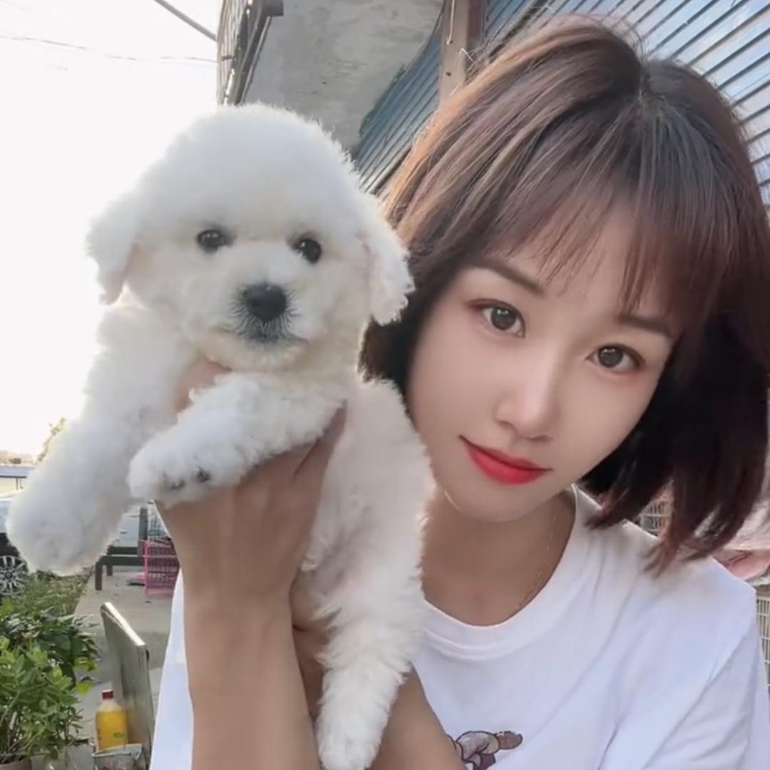 唐河养宠物的小姐姐(自家繁殖)