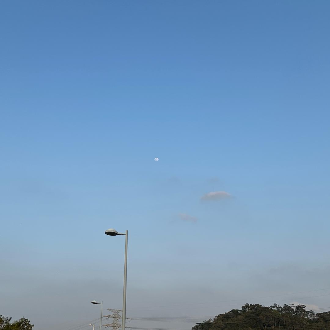 东莞南城土著小哥