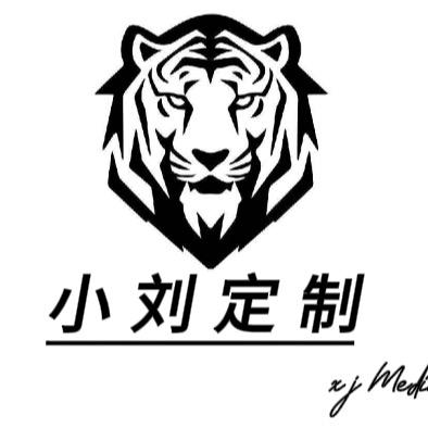 小刘专业定制（解决AMD问题）