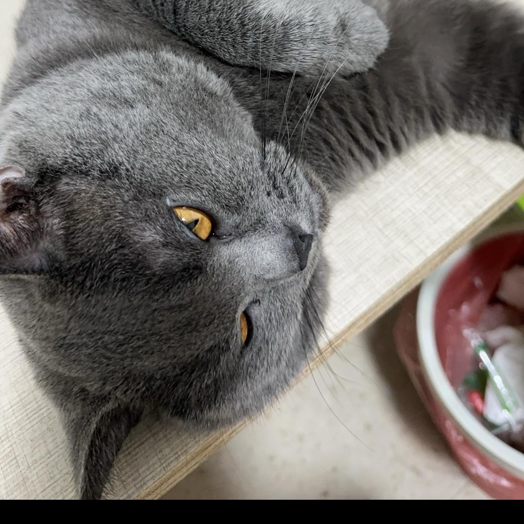 森森1普通人