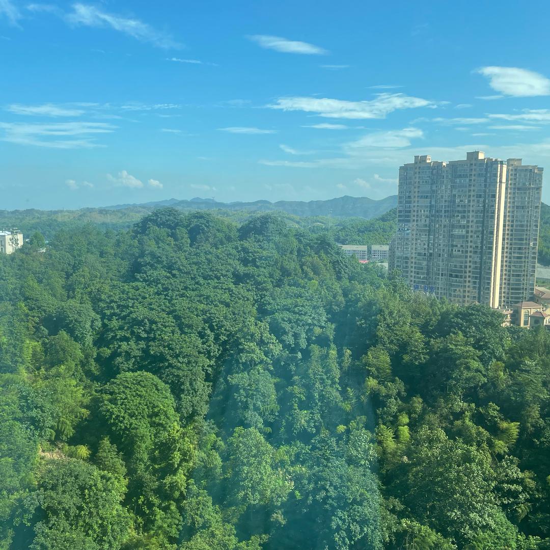 采采采y