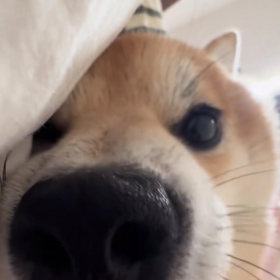孙誼安