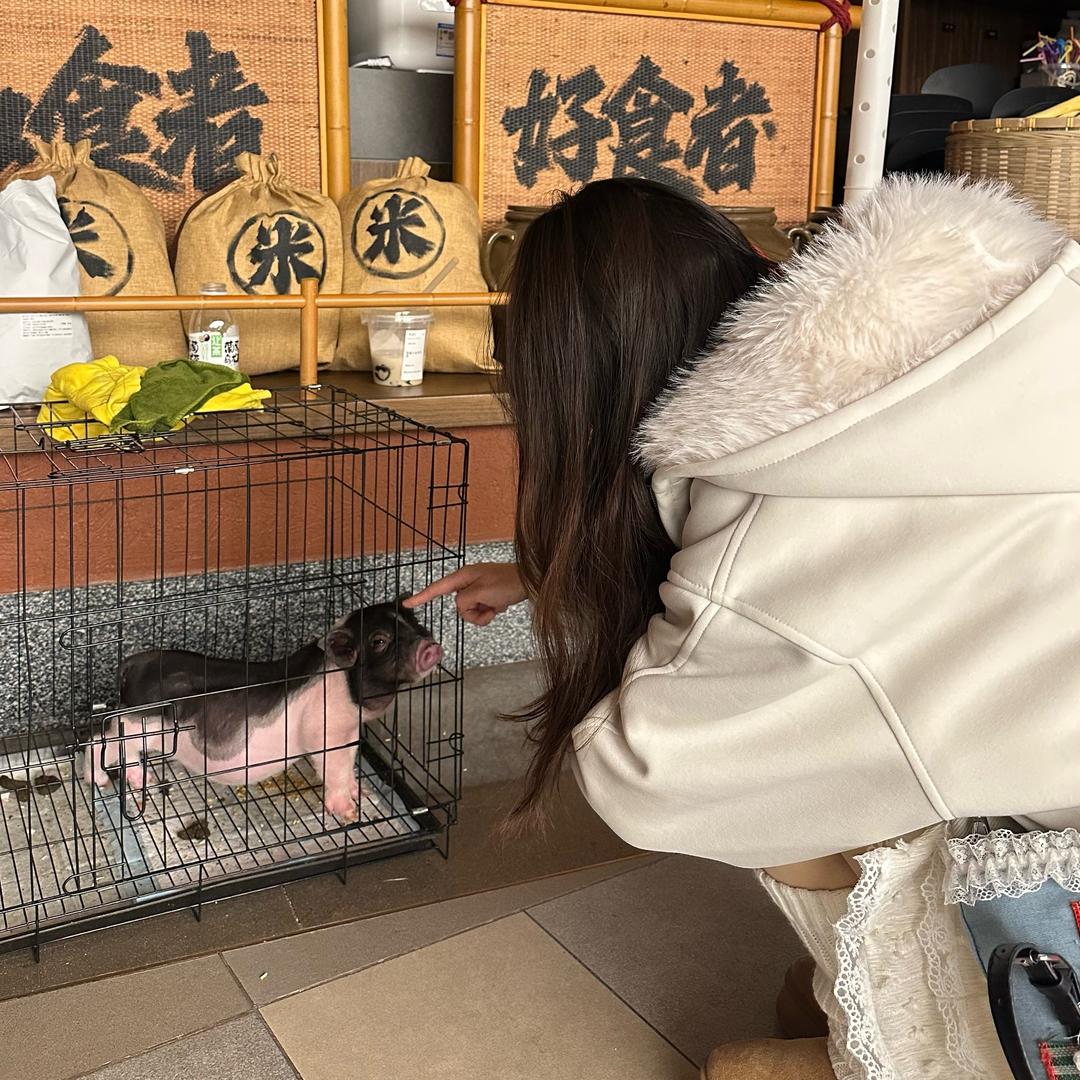 想不通的🍔