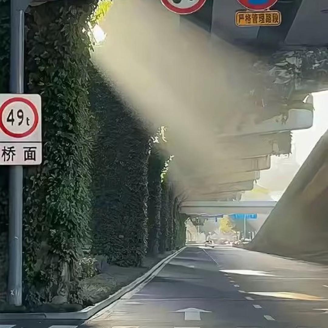 小飞的日常