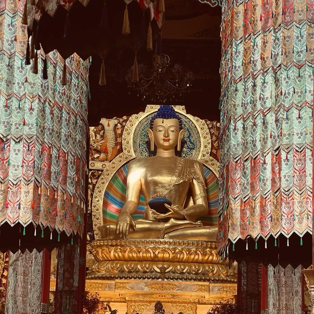 ༼བོད་༽🇧🇹