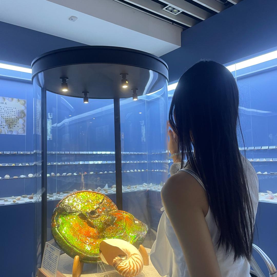 小狗照星云🛹
