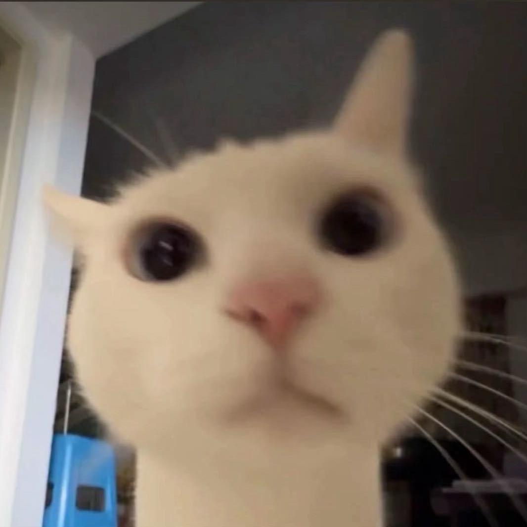 小  Di-