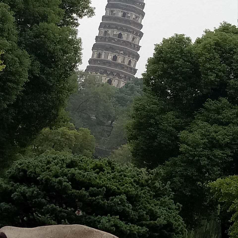 ╰⊱❤⊰辰 子⊱❤⊰╯