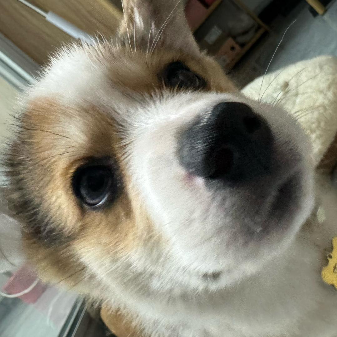 财财