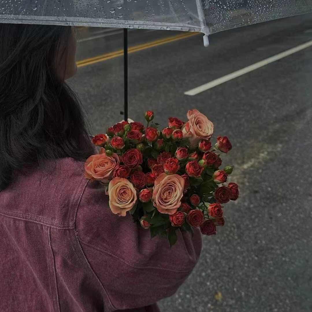 寻觅📷