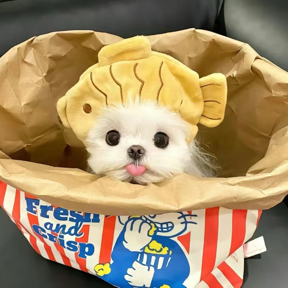 小芙🐾