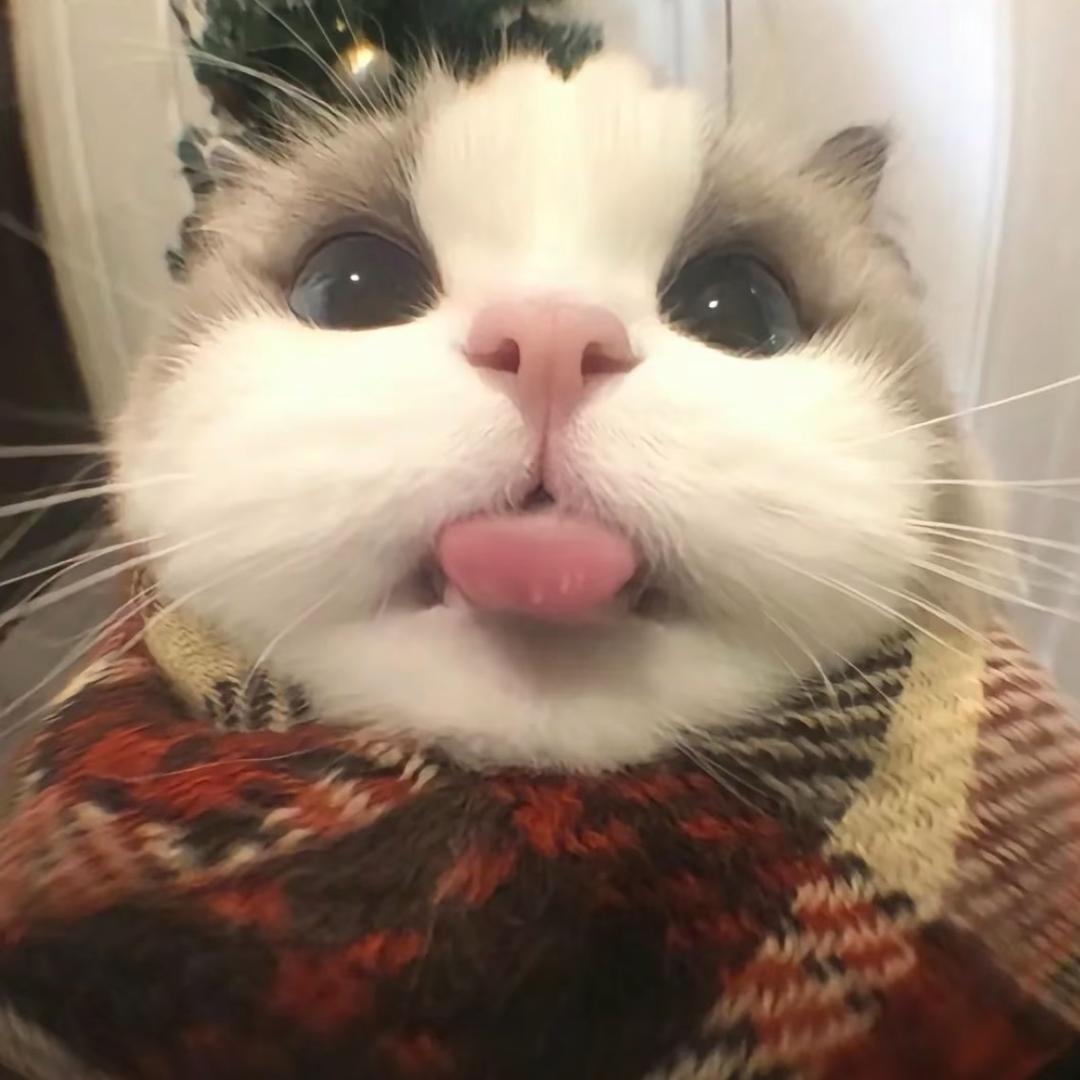 睡觉的时候不困