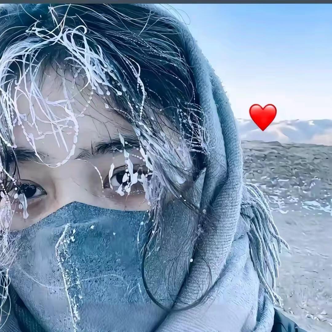 暖风吹怀🫡