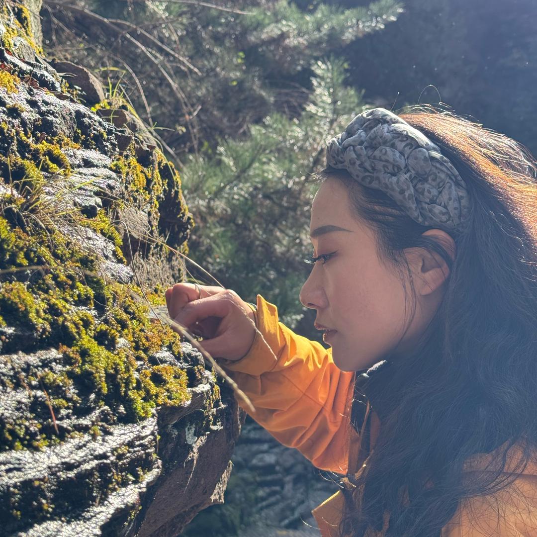 无问成都串串官方号