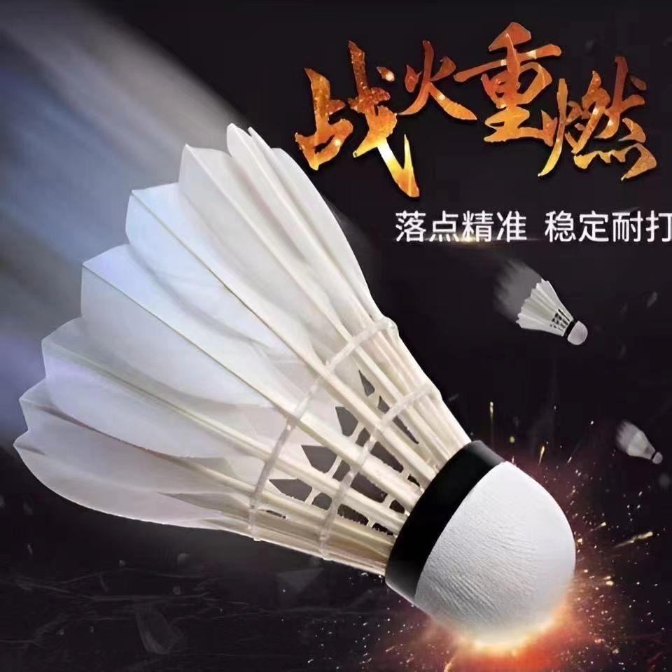 羽跃羽毛球