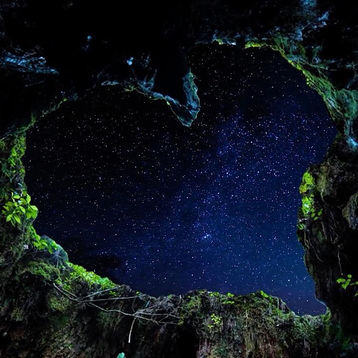 曾经沧海