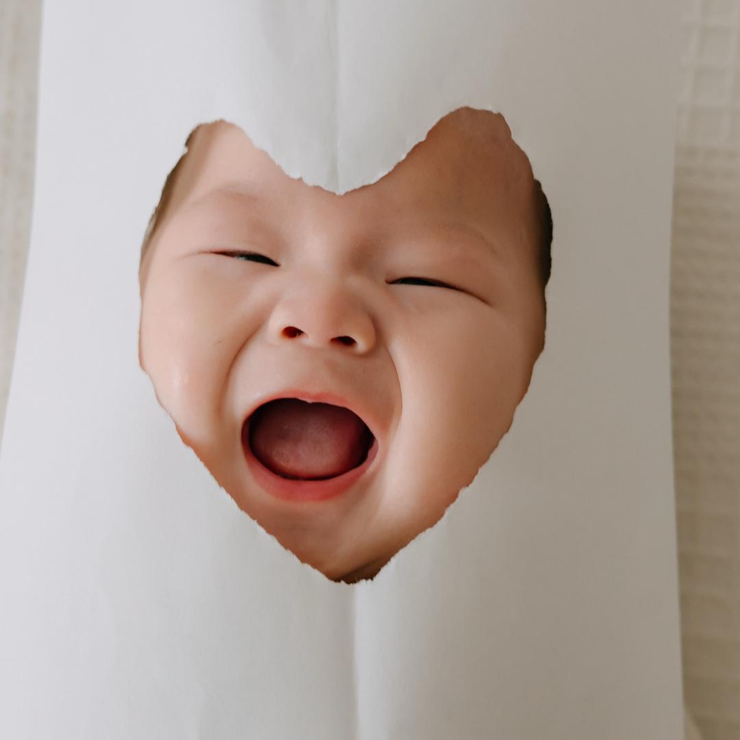 小汪今天吃什么