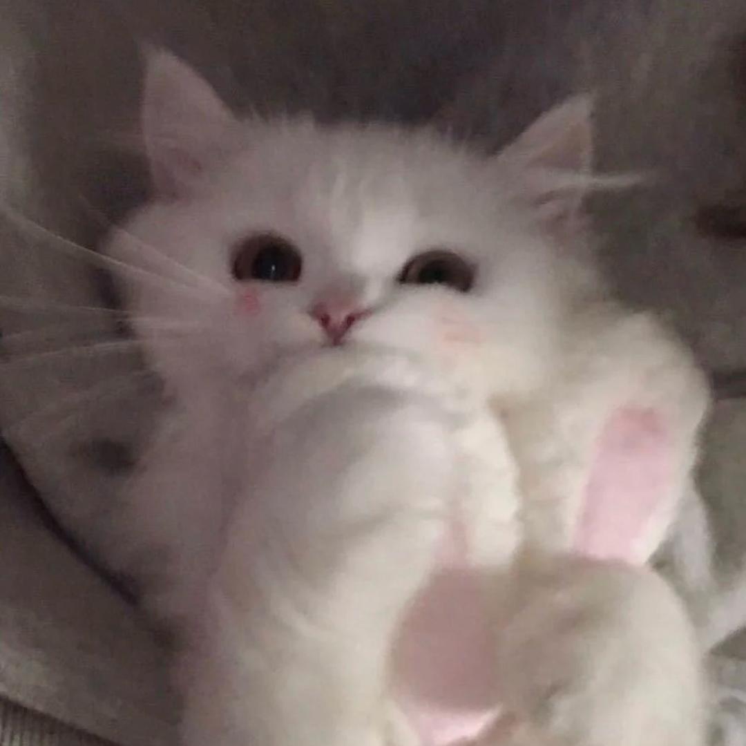HanQiNG