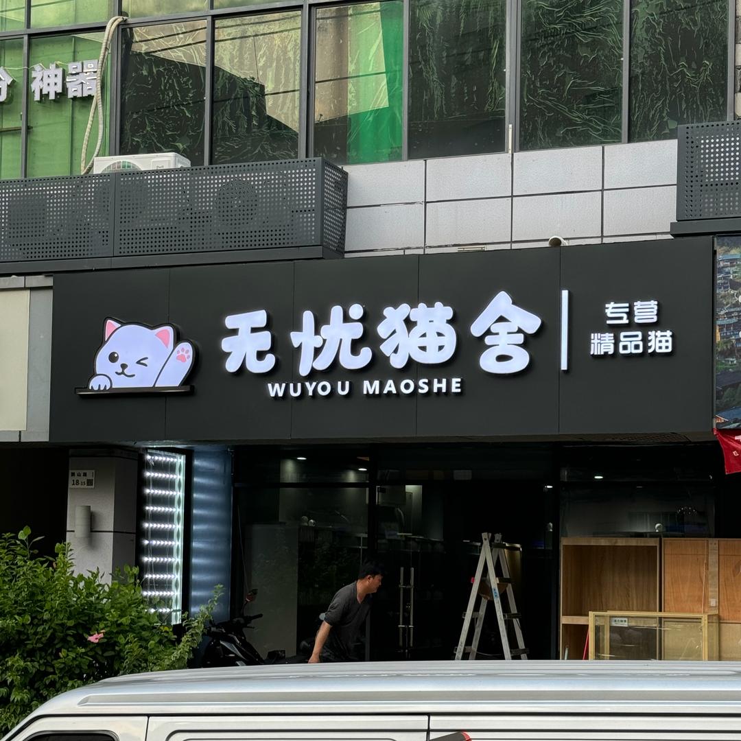 小郑淘猫（无忧猫舍）