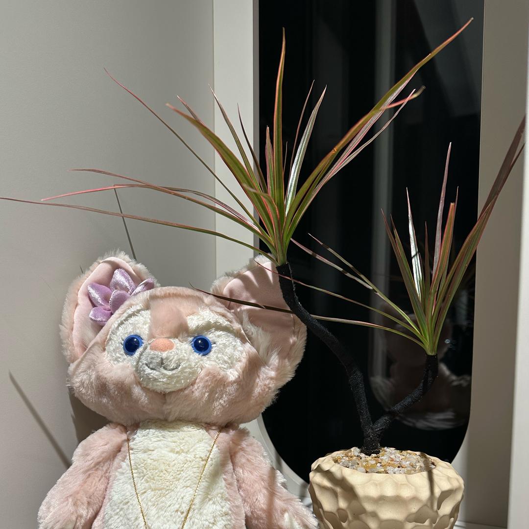 知意妈妈(解放期）