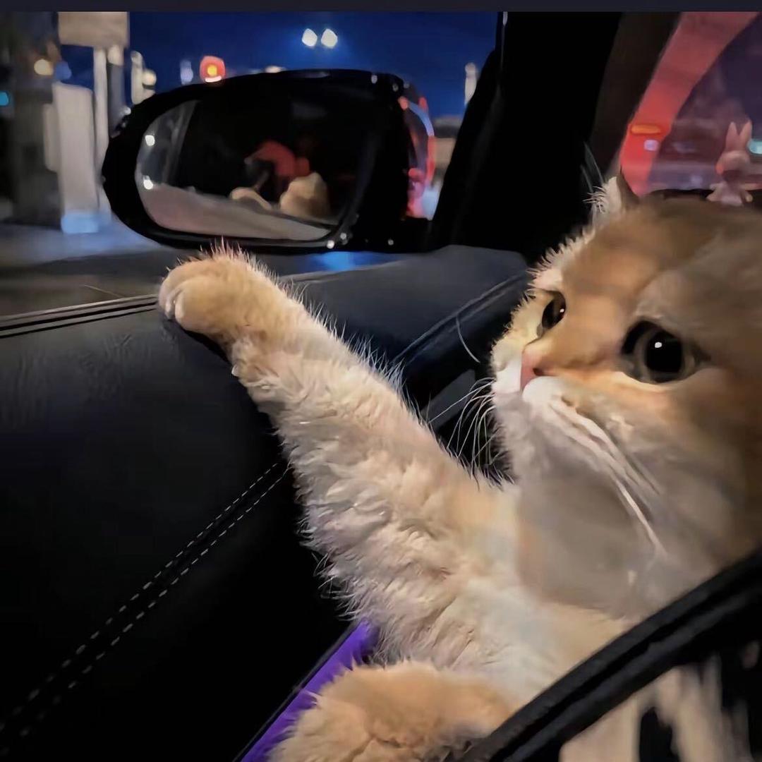 니가 바보아니야?