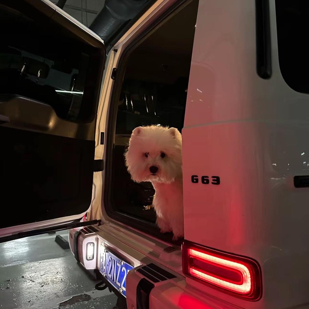 小小铭阿