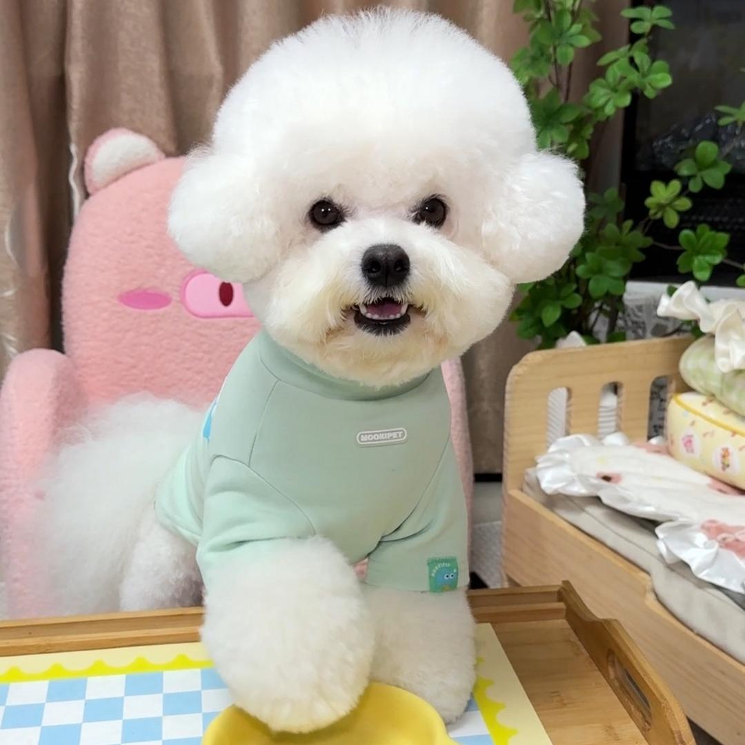 美美丸子go