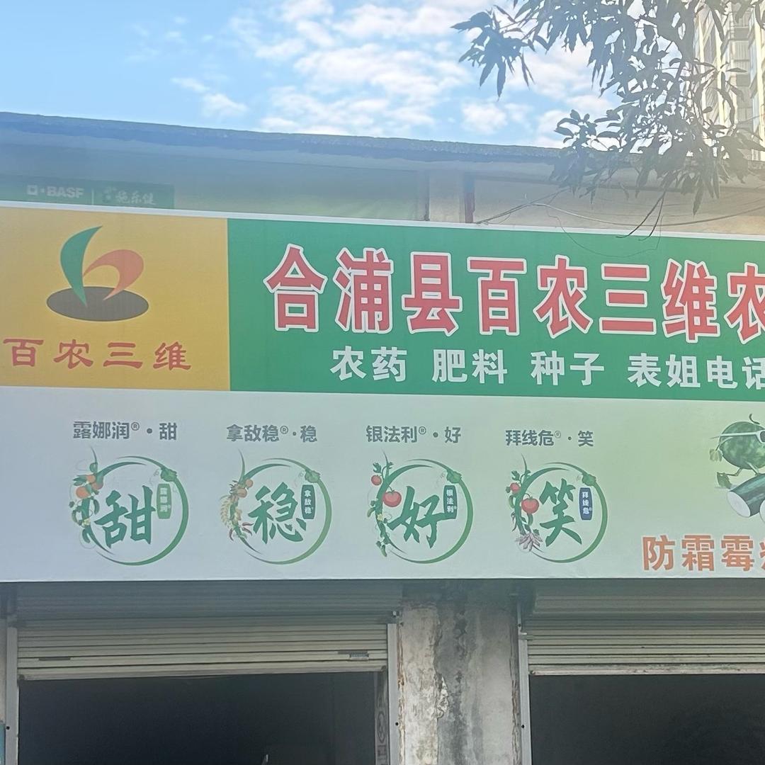 百农三表妹