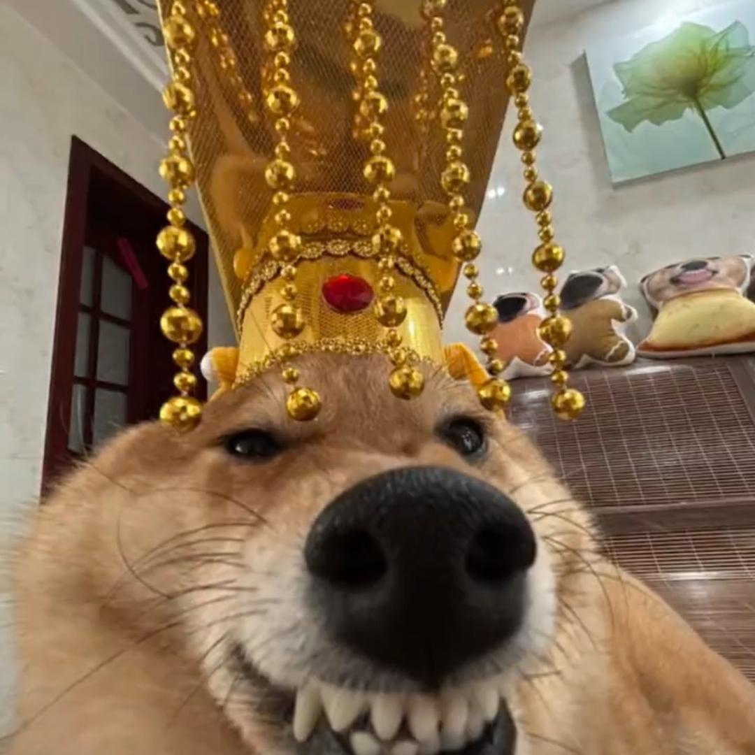 因为话太多被聋子打残