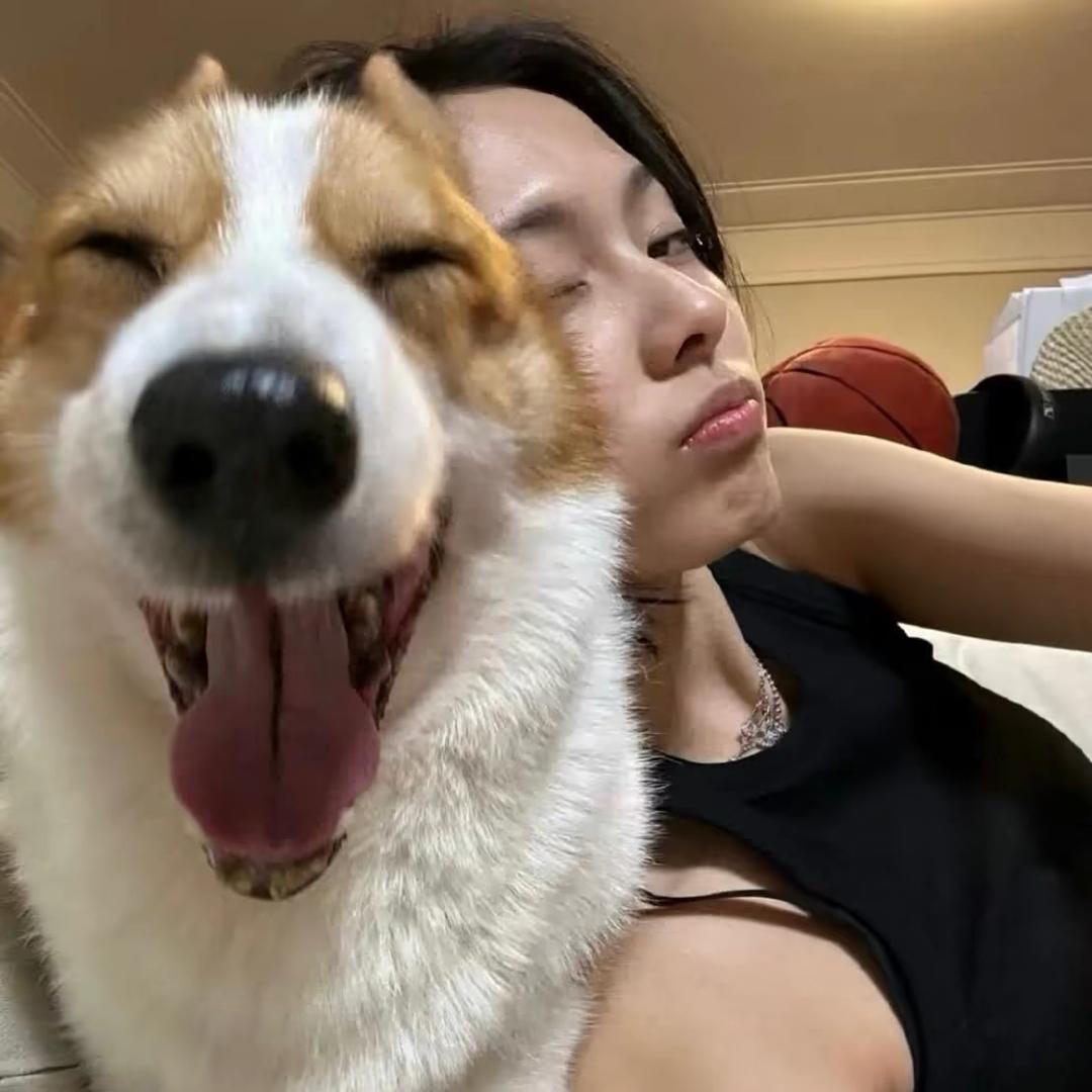 鱼鱼y