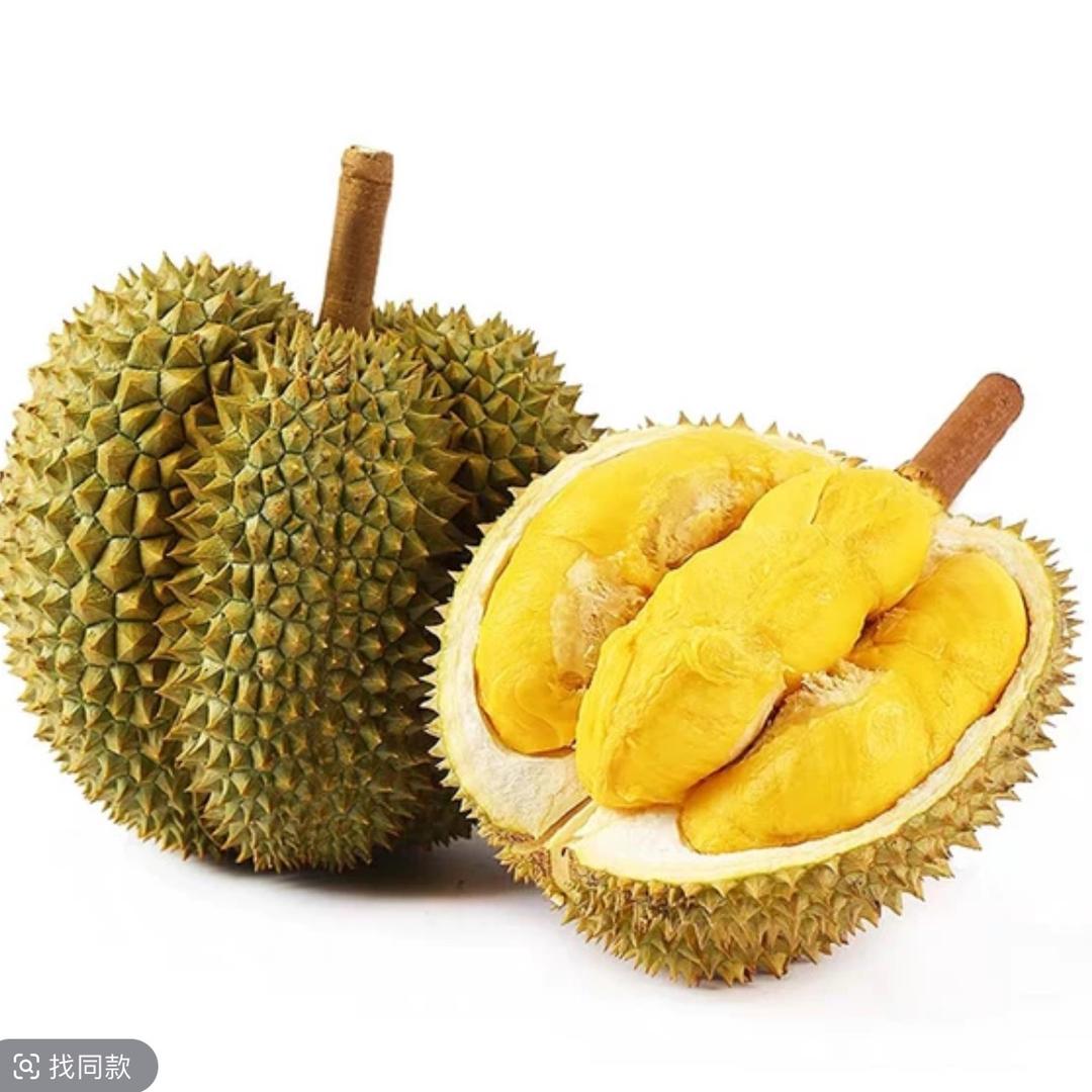 哒哒爱吃榴莲的头像
