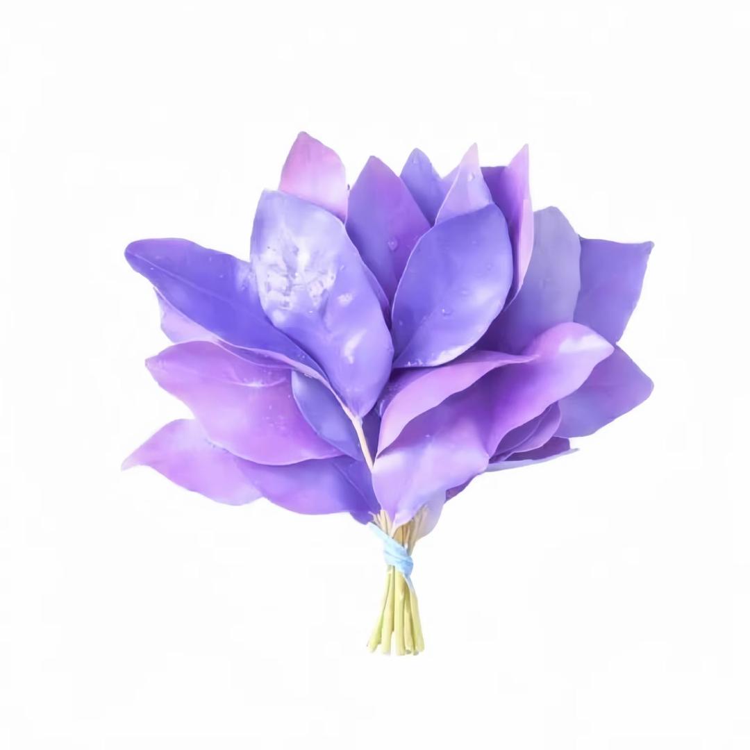 啊？被你发现了