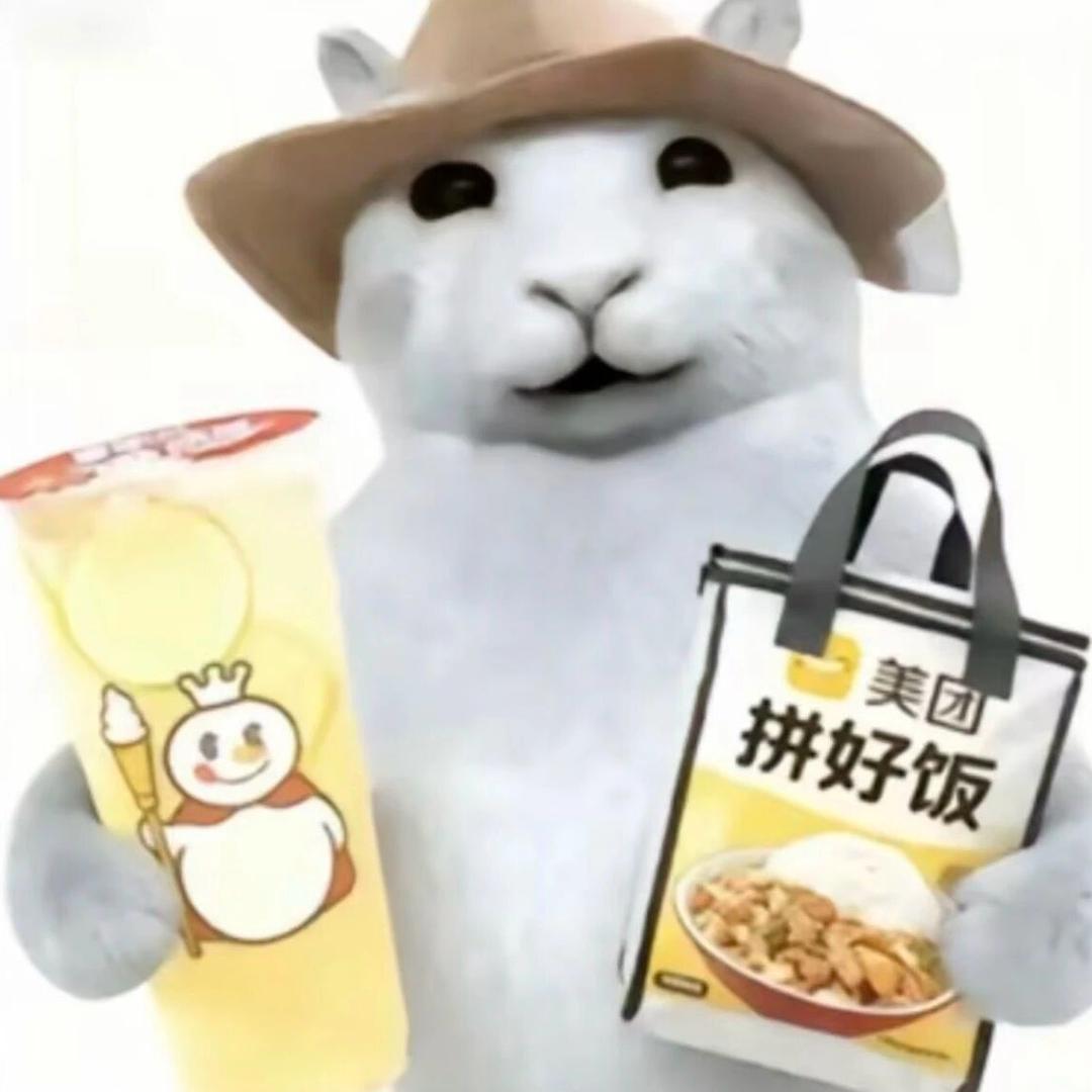 纯路人
