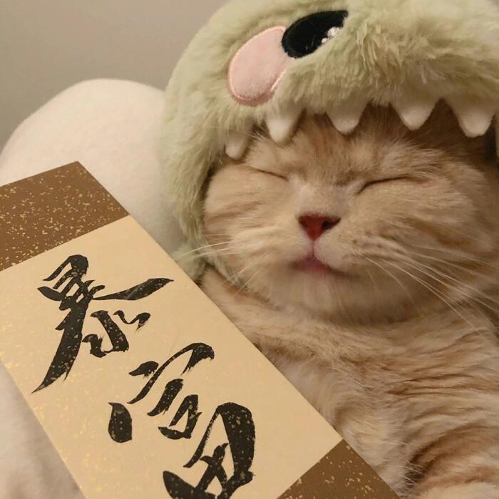 天然呆